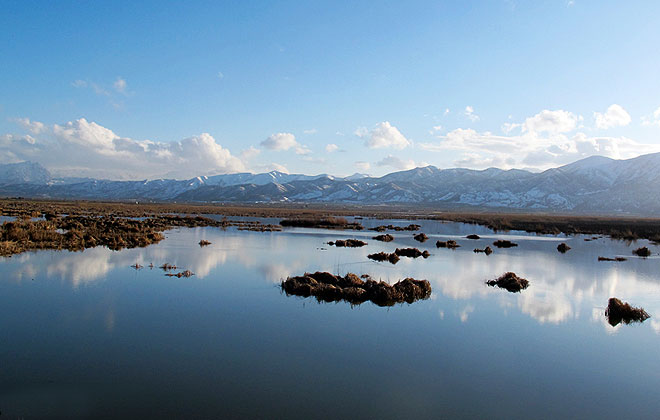 دریاچه زریوار کردستان